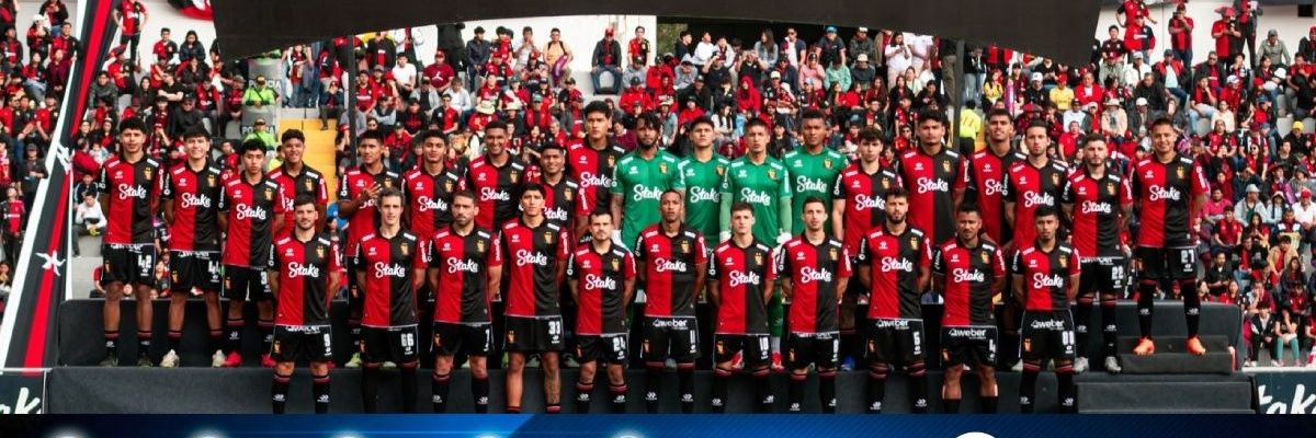 VlMa Rojinegra banner