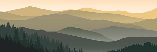 BeardedBoone's profile banner image