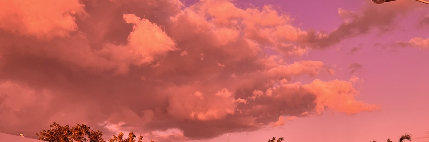 freelyvee's profile banner image