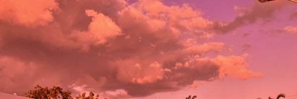 freelyvee Profile Banner