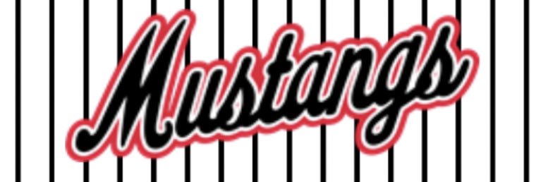 MCHS Baseball banner