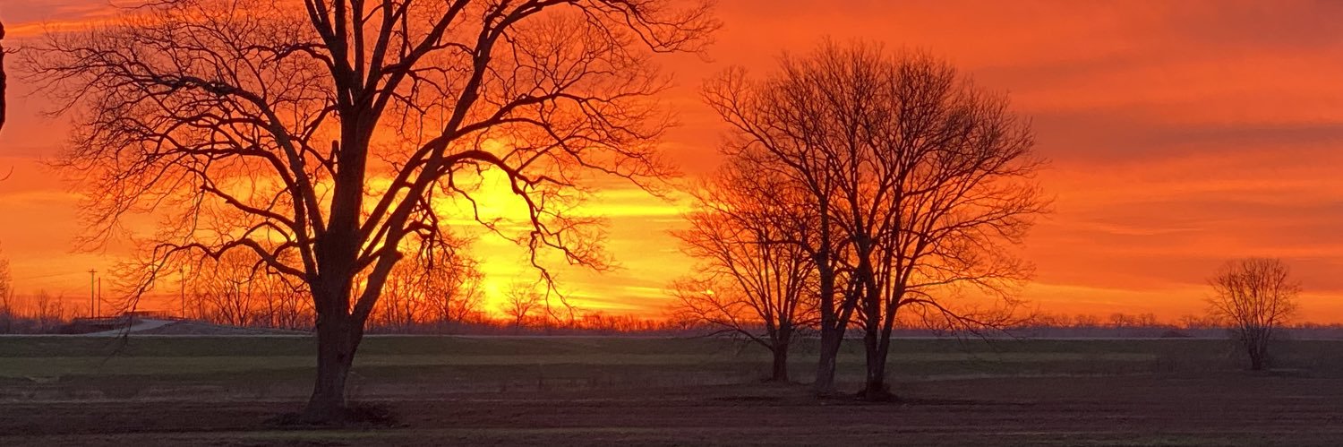 bennettgina's profile banner image