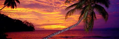 ilubfreebies's profile banner image