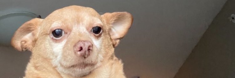 GarbuioMatheus's profile banner image