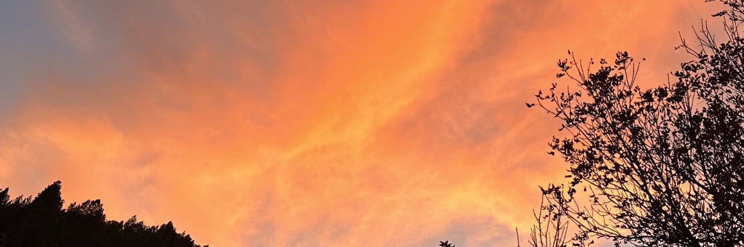 MorsonEmma's profile banner image