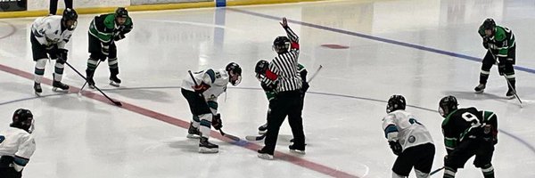 NorthernHawks Profile Banner