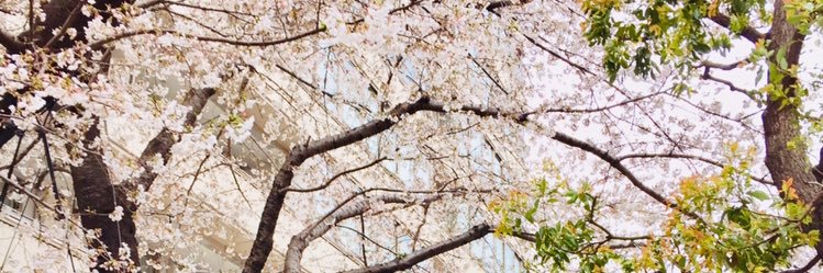 oooA123ooo's profile banner image
