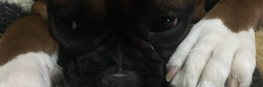 SahmDylan's profile banner image