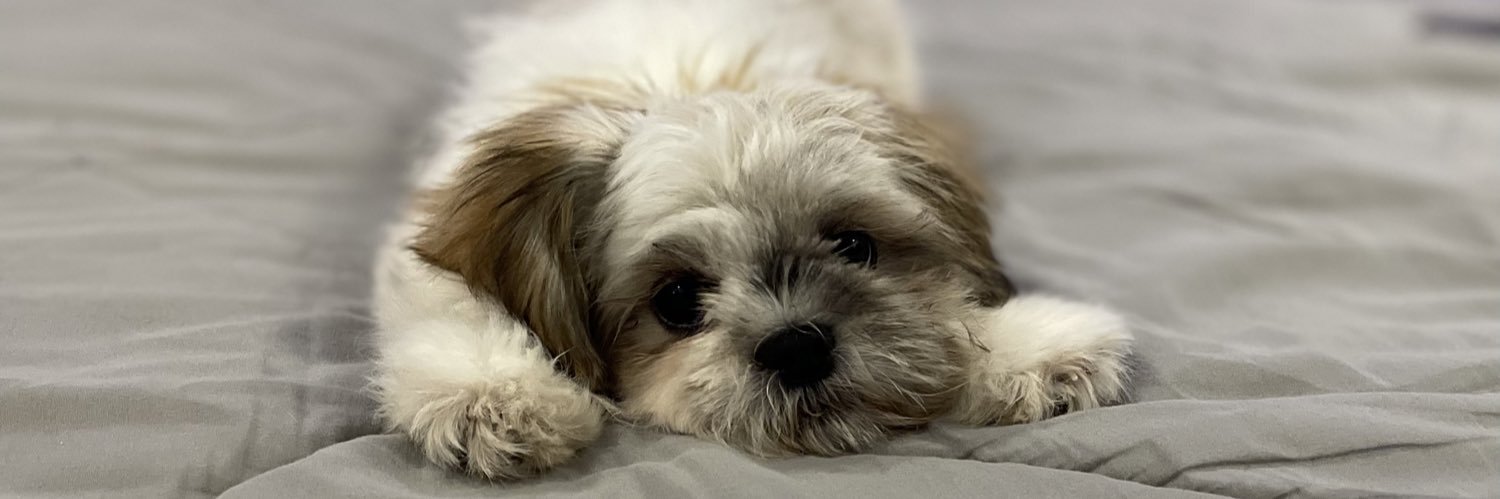 ArletteGdoGtz's profile banner image