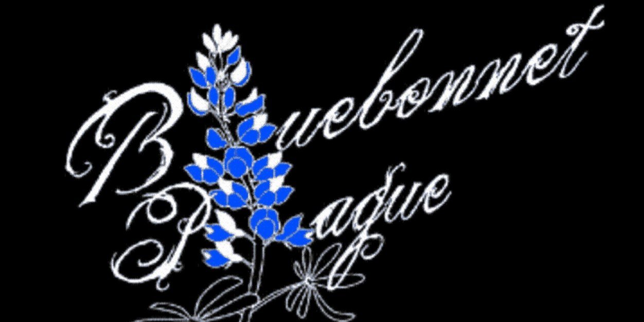 bbplague's profile banner image