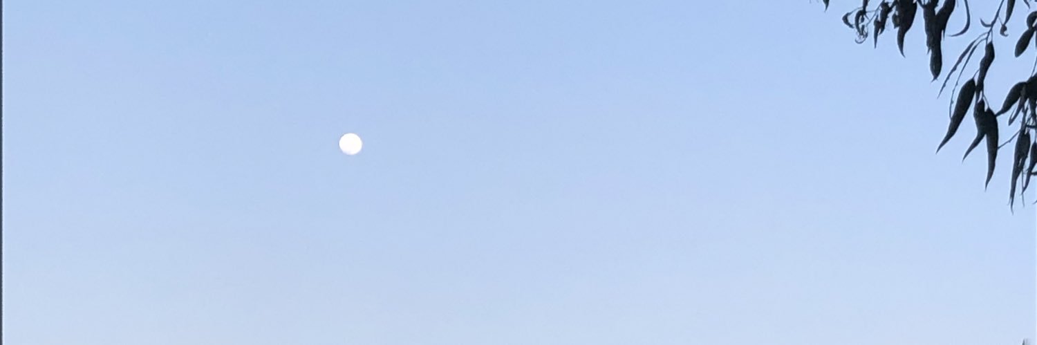 amy_chamu's profile banner image