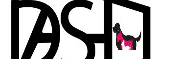 salvindash's profile banner image