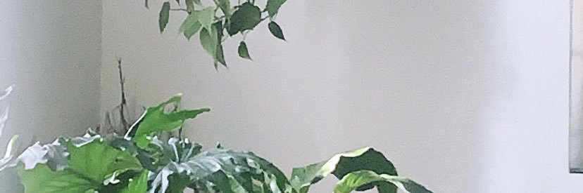 C_amour28's profile banner image