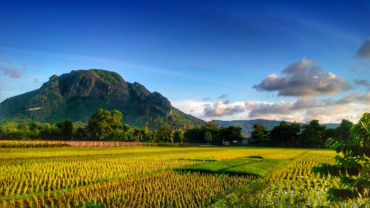 riyan_basir's profile banner image