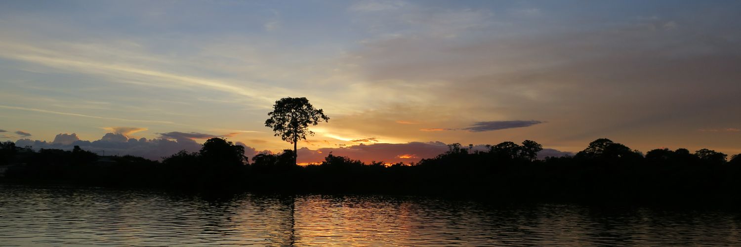 bertrand_lell's profile banner image