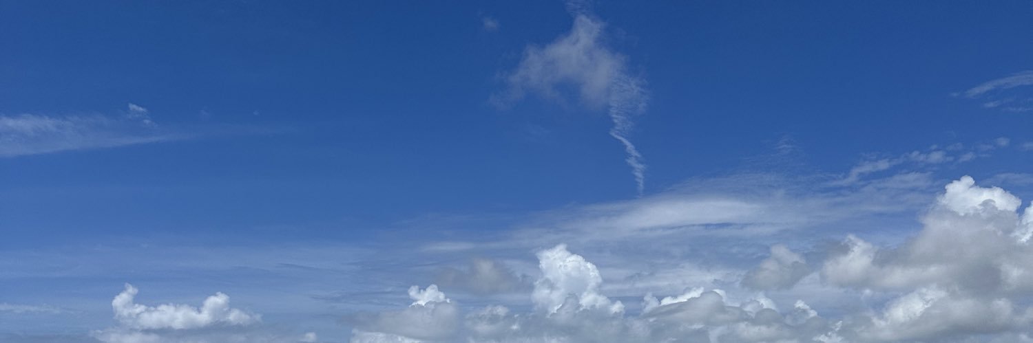 everythingvalo's profile banner image