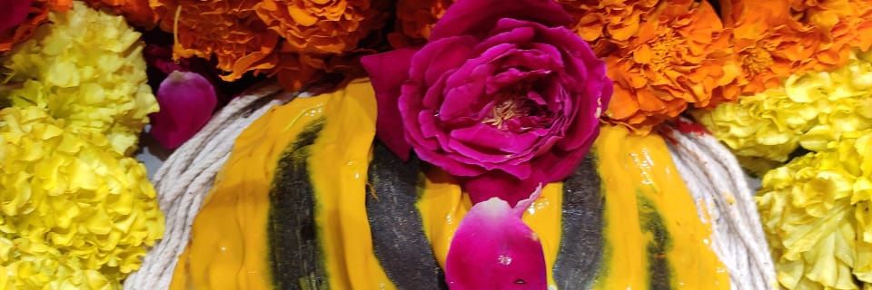 _Stripathi's profile banner image
