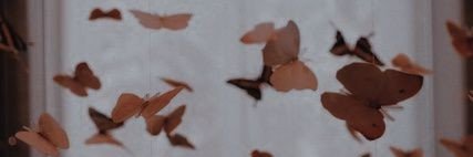 𝓐𝓷𝓰𝓮𝓵𝓪 𝓖𝓪𝓶𝓮𝔃 banner