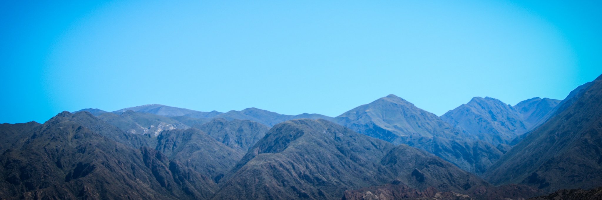 Rodrigo Kohn banner