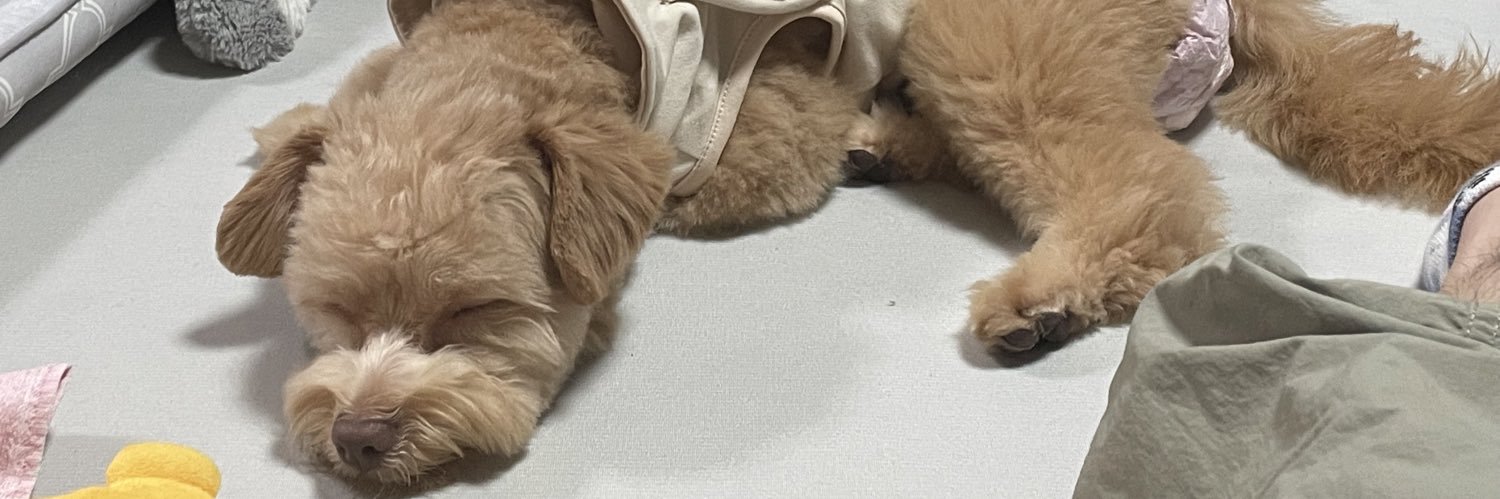 t_jusMelo's profile banner image