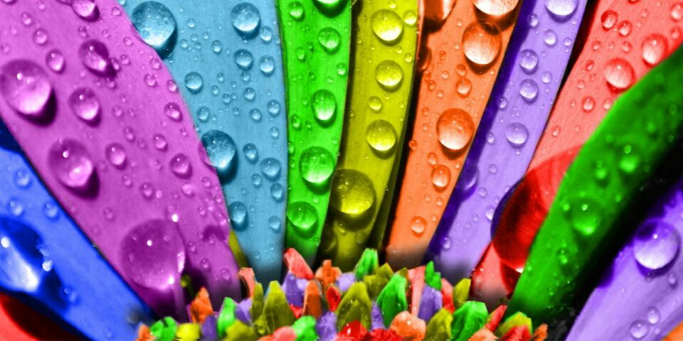 mariepizzo's profile banner image