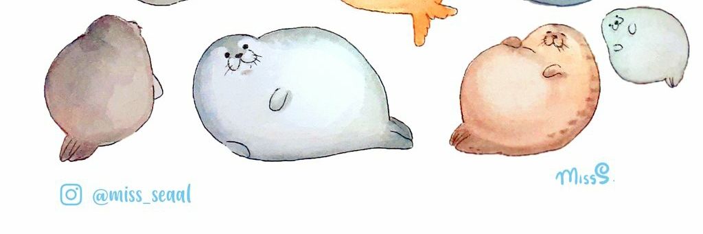 Miss_seal🦭's banner