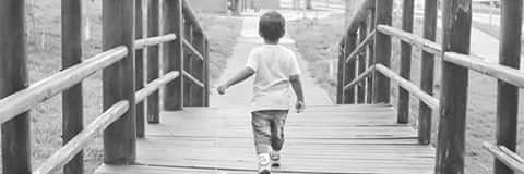 CarolCaio_'s profile banner image