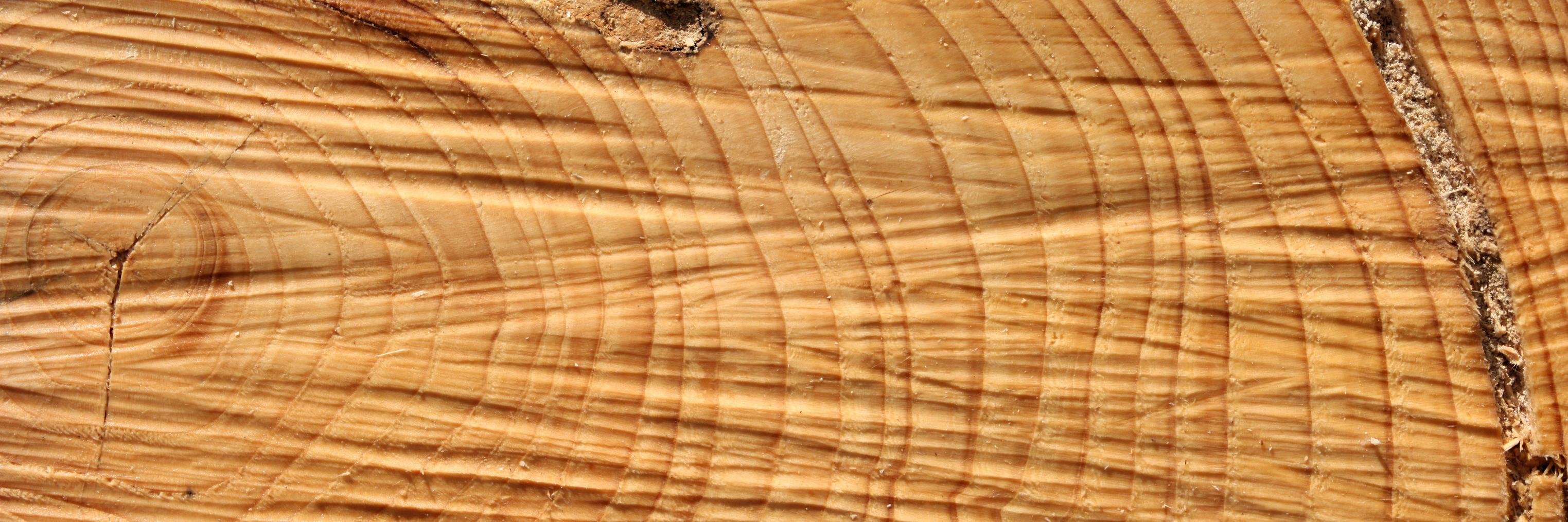 dentedcardoor's profile banner image