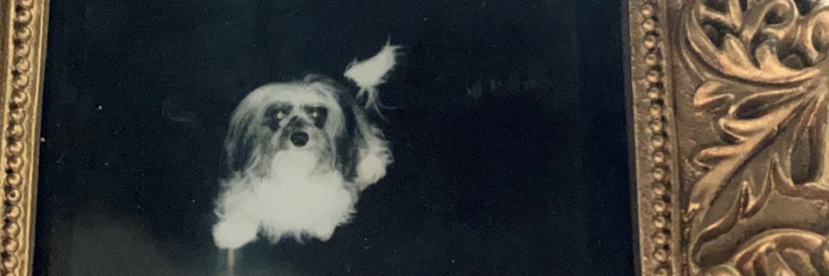 crystal_misfit's profile banner image