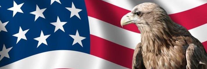 Eagle Group PI LLC banner