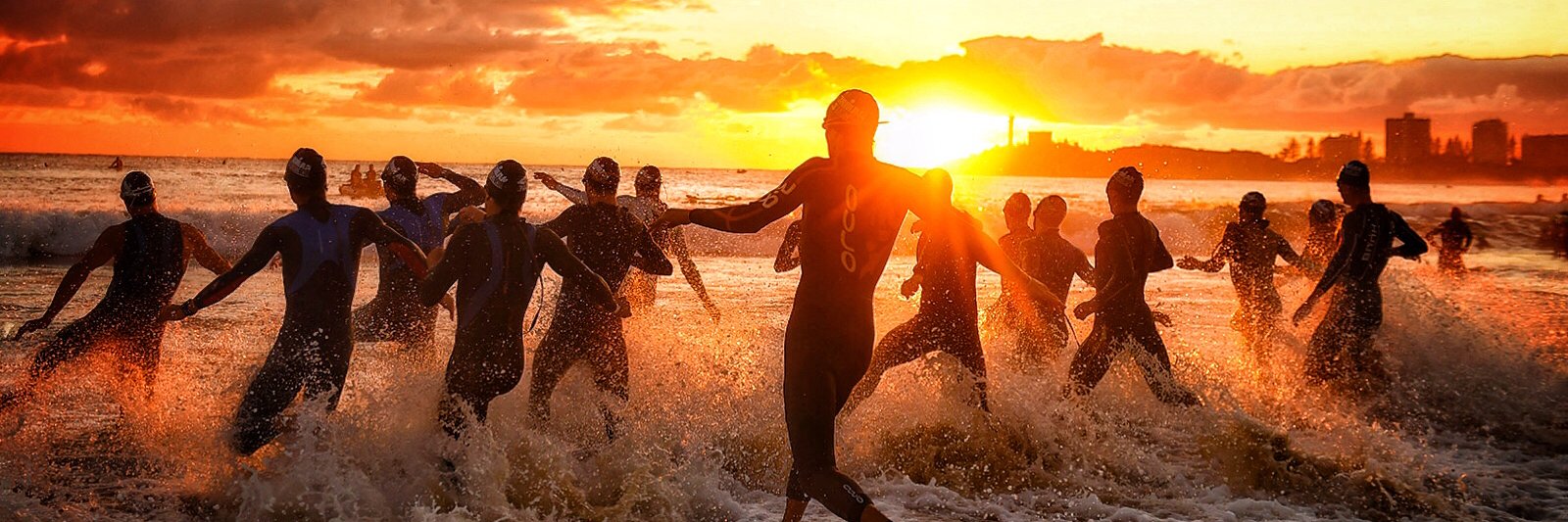 Chris Sanders banner