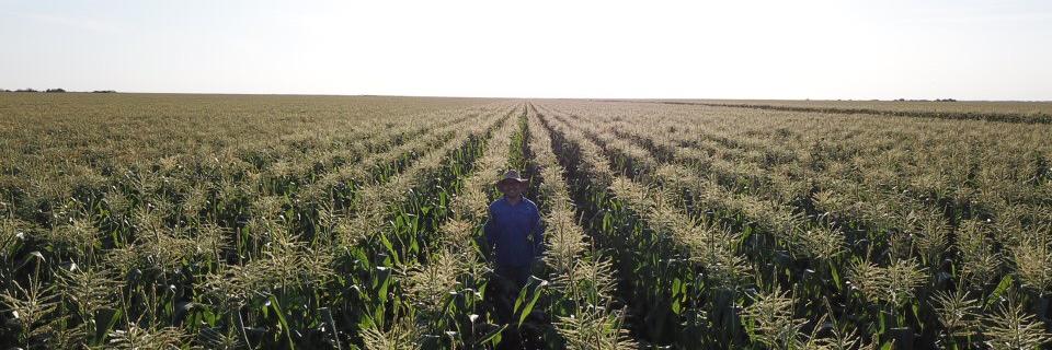 Marcio Resende banner