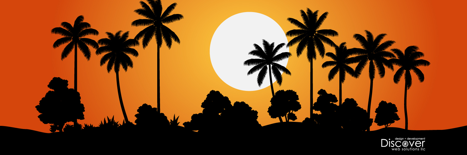 DiscoverWebSolu's profile banner image