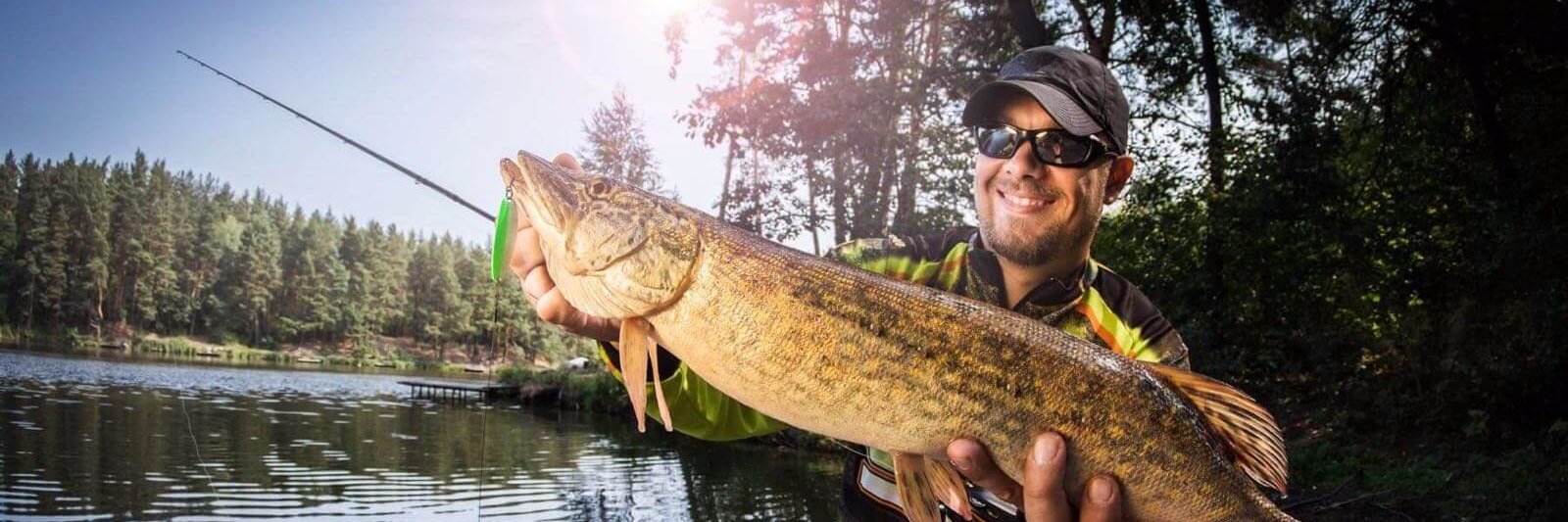 fishlodges's profile banner image