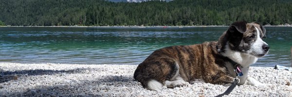 DylanPaiton Profile Banner