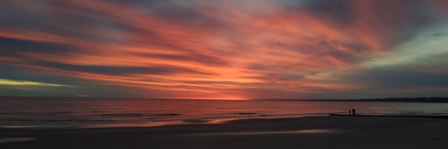 Alejandro Ferreira banner