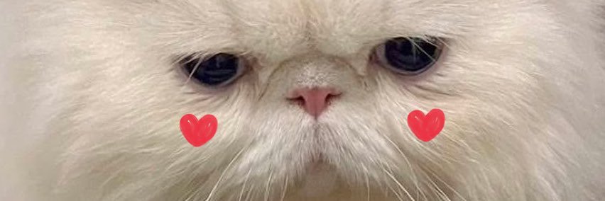 pepperpetit banner