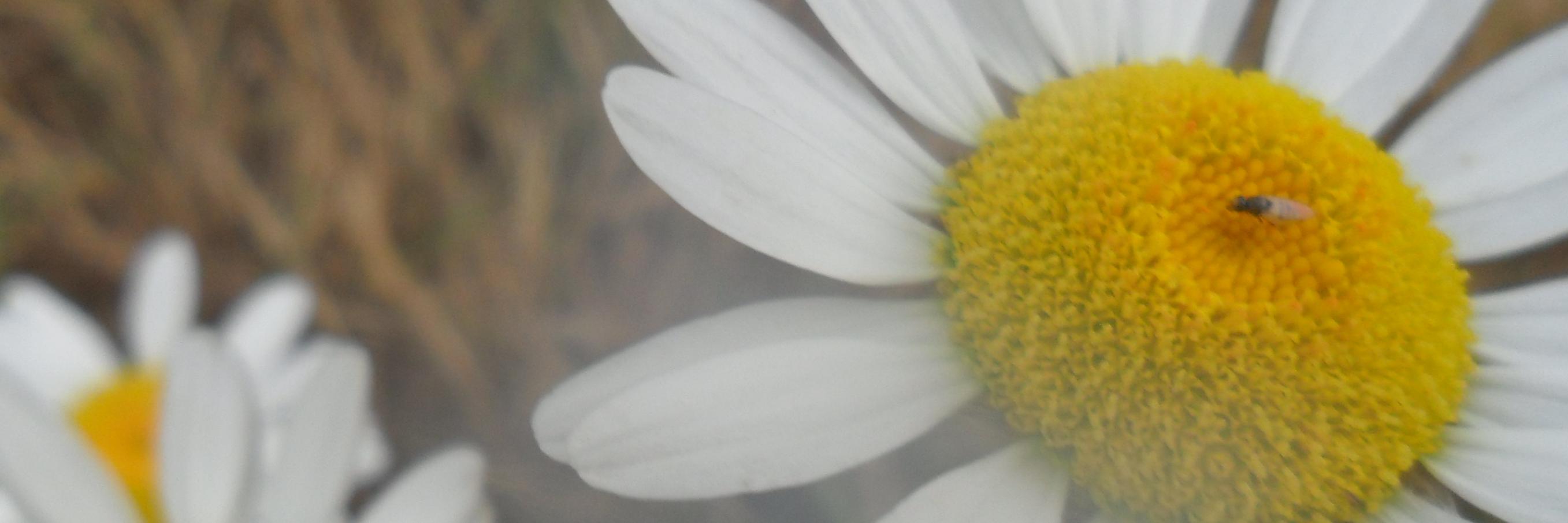 chillnVillian8's profile banner image
