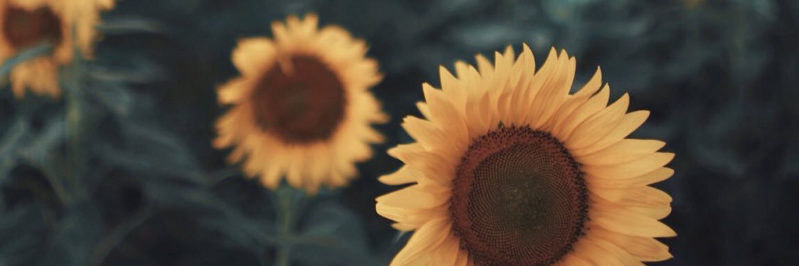 KeyKey1012's profile banner image