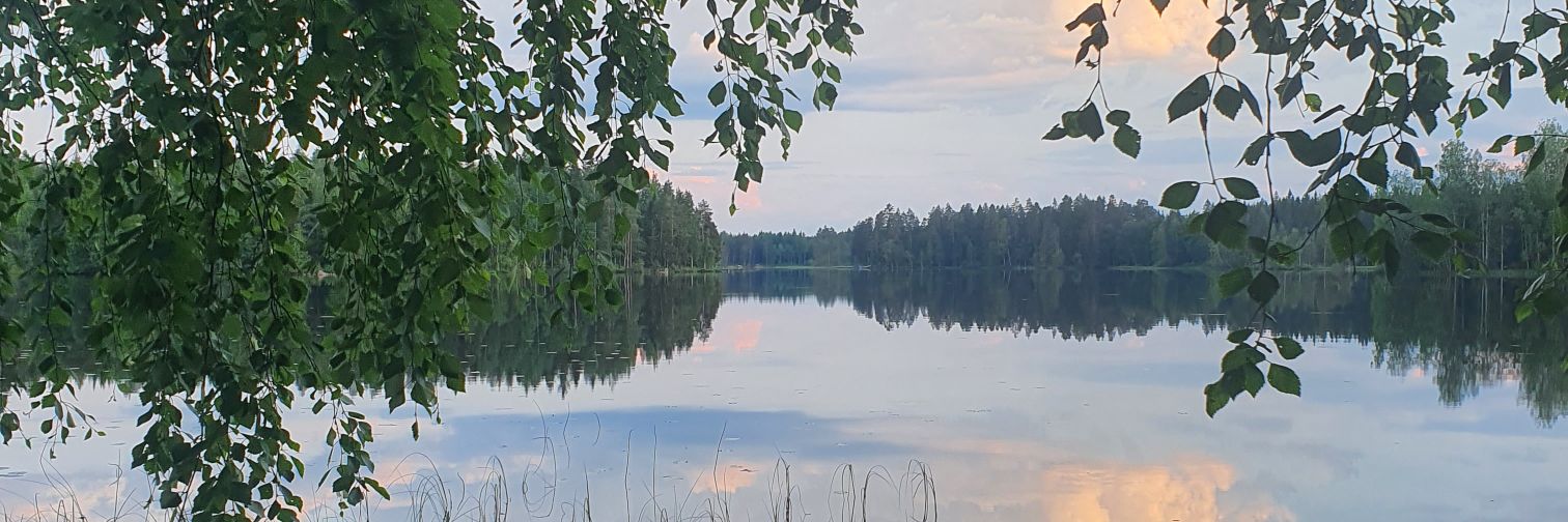Kaija Appelqvist-Sch banner