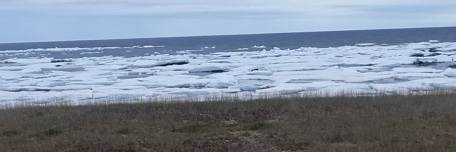 Michael Kvern banner