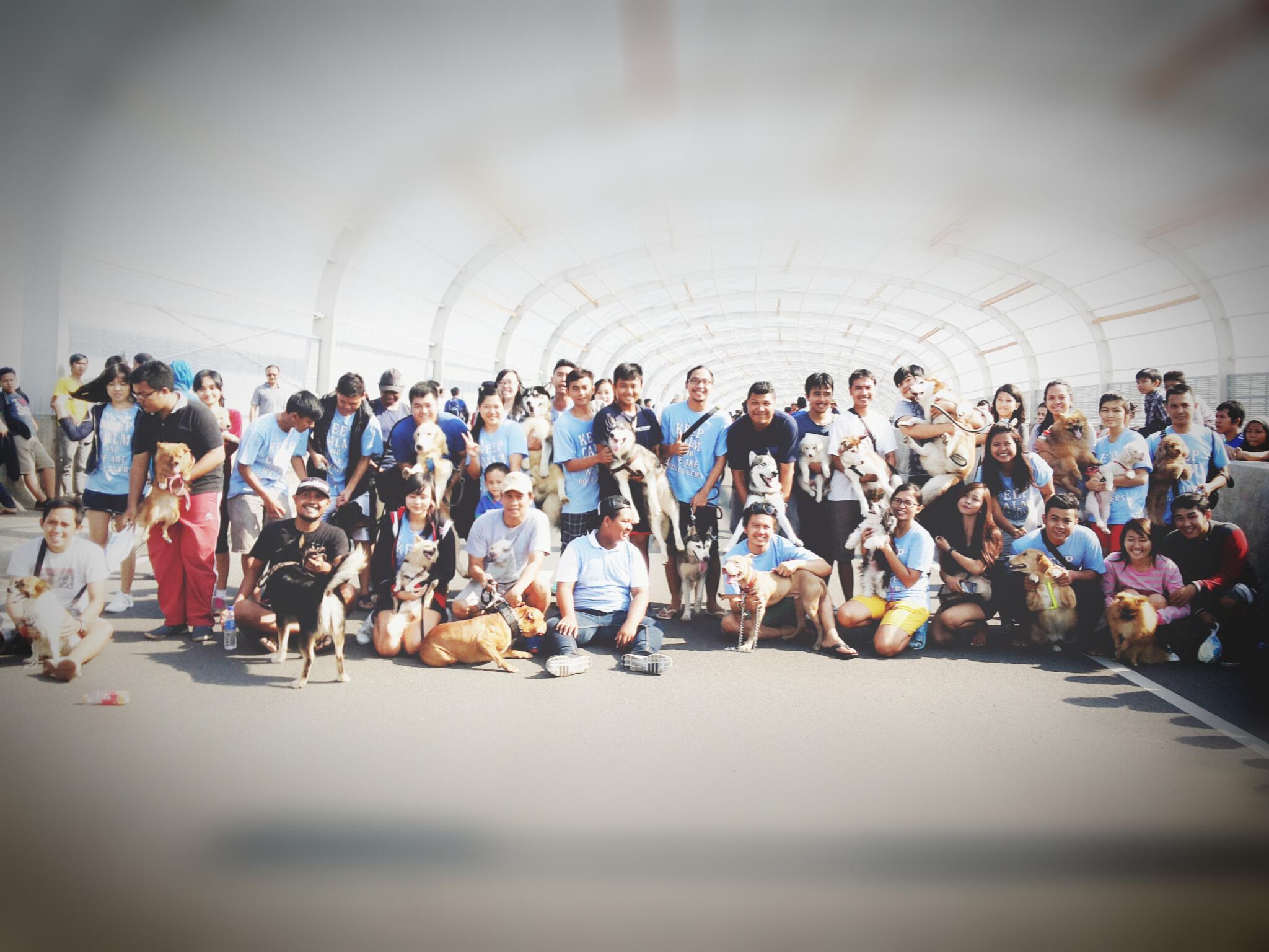Bekasi Dog Lovers banner