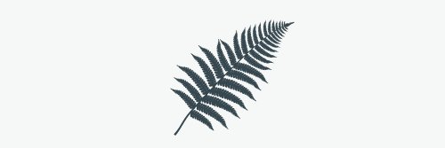 Mooseseeds's profile banner image