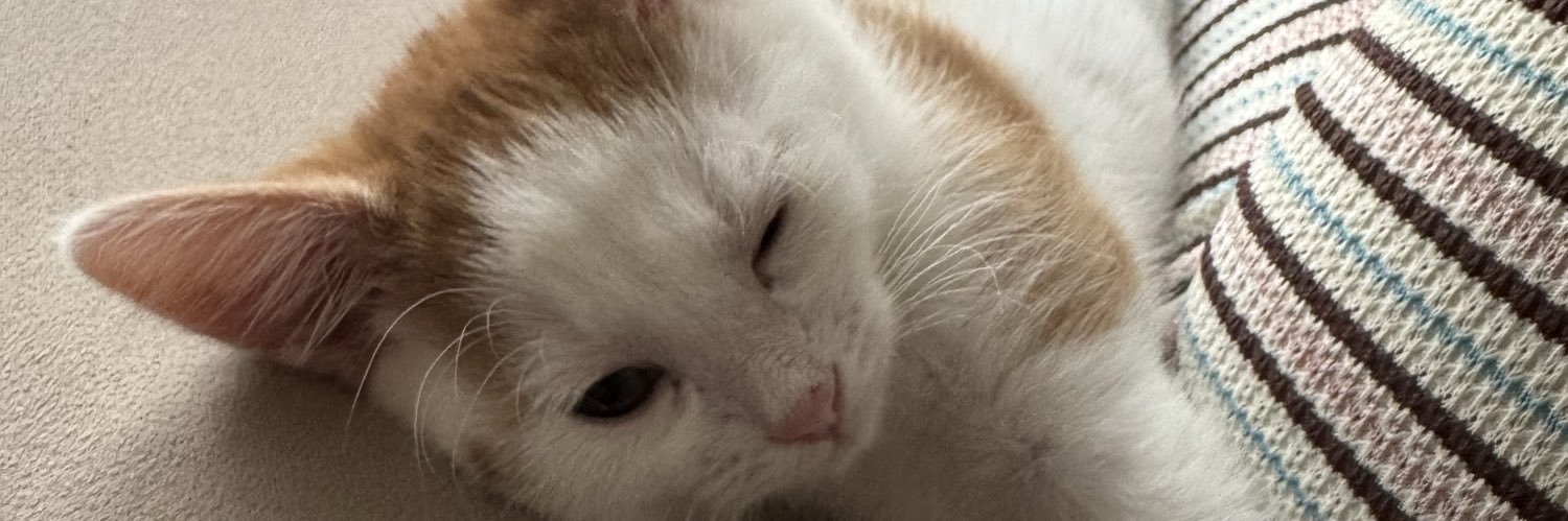 hectarded's profile banner image
