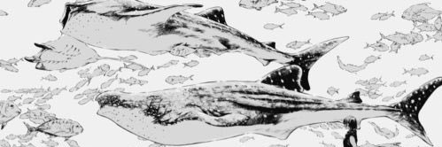 sshh0118's profile banner image