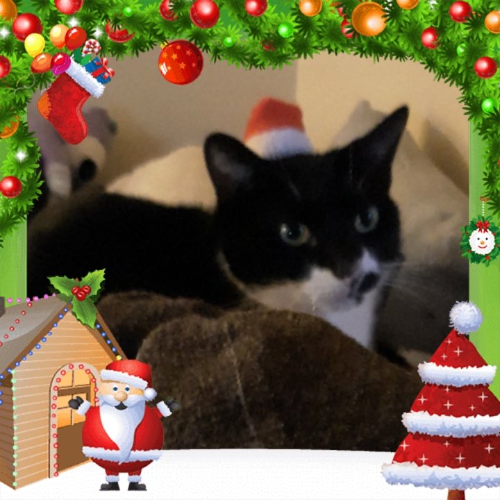 Audrey0977's profile banner image