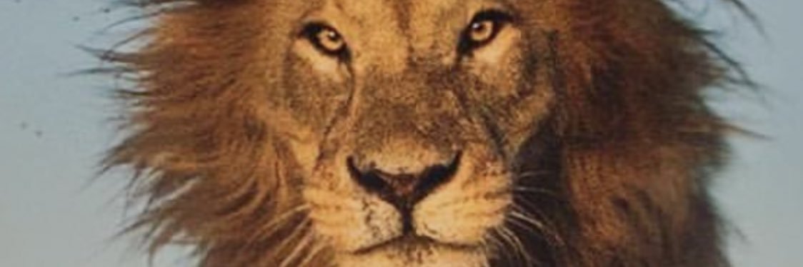 SteveOles's profile banner image