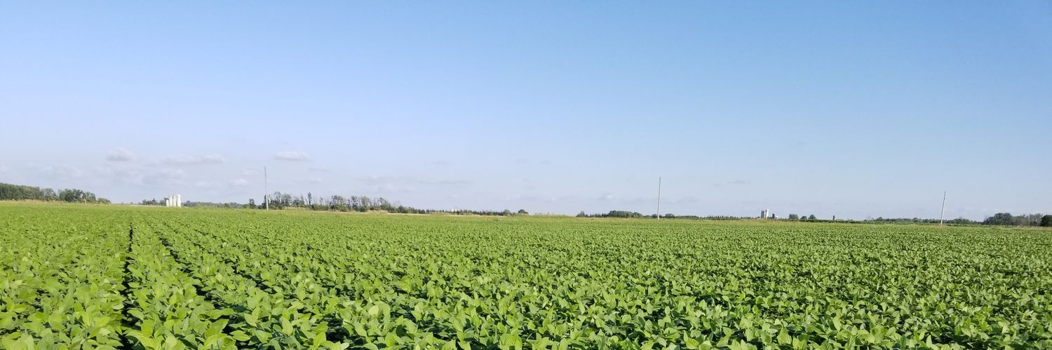 Brendan Louwagie banner