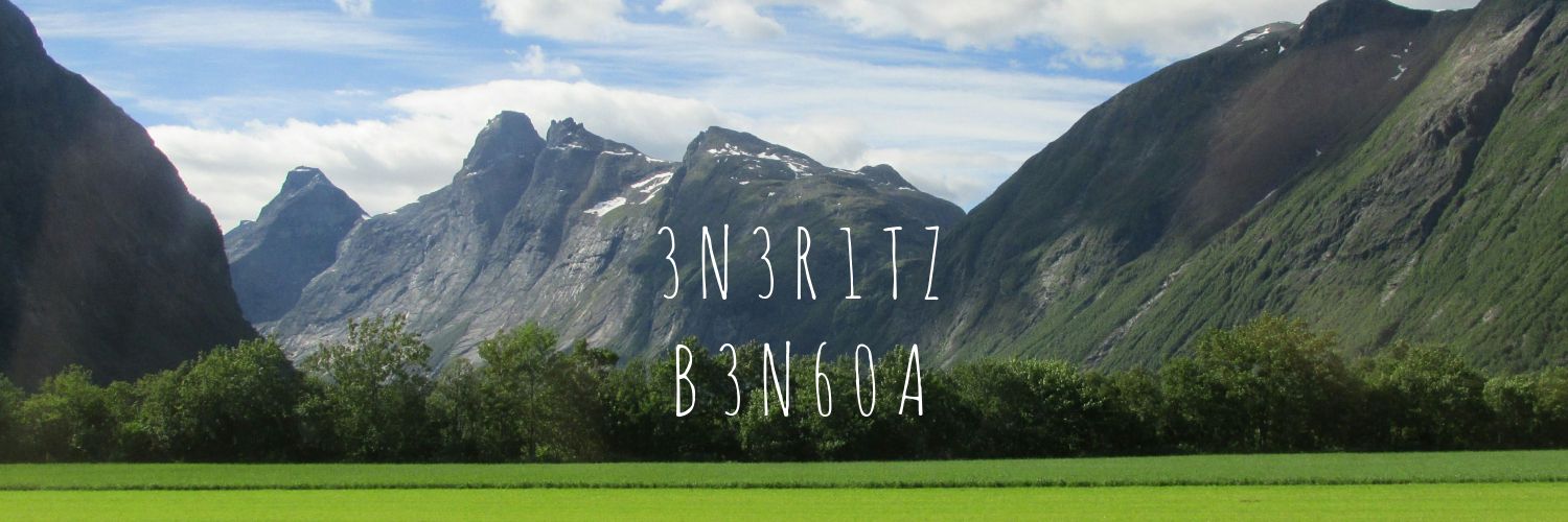 eneritzbengoa's profile banner image