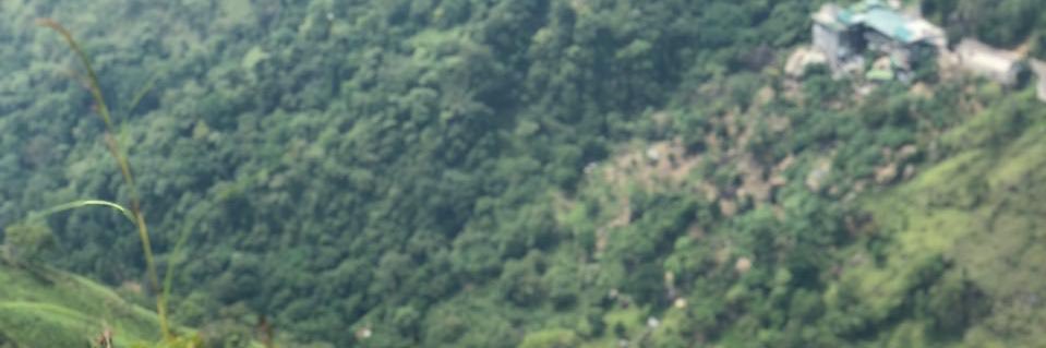 AalaaJabri's profile banner image